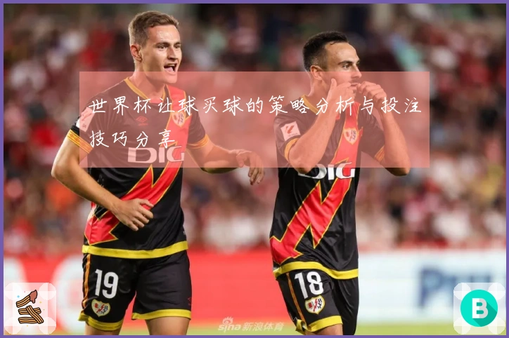 世界杯让球买球的策略分析与投注技巧分享