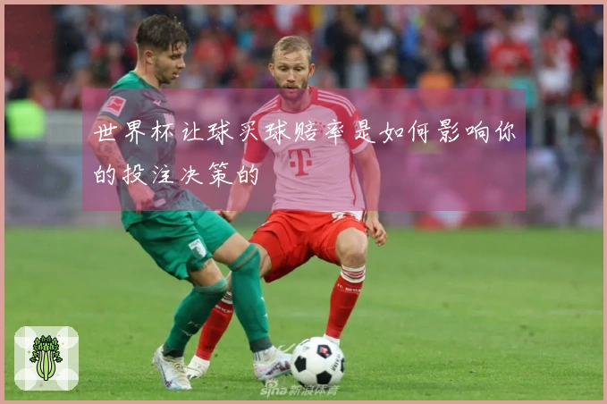 世界杯让球买球赔率是如何影响你的投注决策的