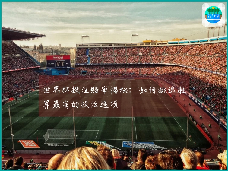 世界杯投注赔率揭秘：如何挑选胜算最高的投注选项